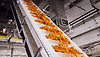 /ext/galleries/inside-the-potato-cellar/full/fries-convey-to-packaging.gif