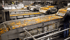 /ext/galleries/inside-the-potato-cellar/full/fries-on-tiered-conveyor.gif