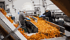 /ext/galleries/inside-the-potato-cellar/full/heading-into-fryer.gif