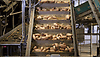 /ext/galleries/inside-the-potato-cellar/full/mounds-of-potatoes.gif