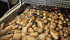 /ext/galleries/inside-the-potato-cellar/full/potatoes-soaking-in-water.gif