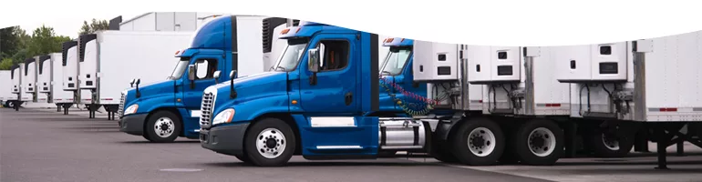 Supply Chain & Logistics