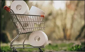tiny shopping cart full of toilet paper rolls