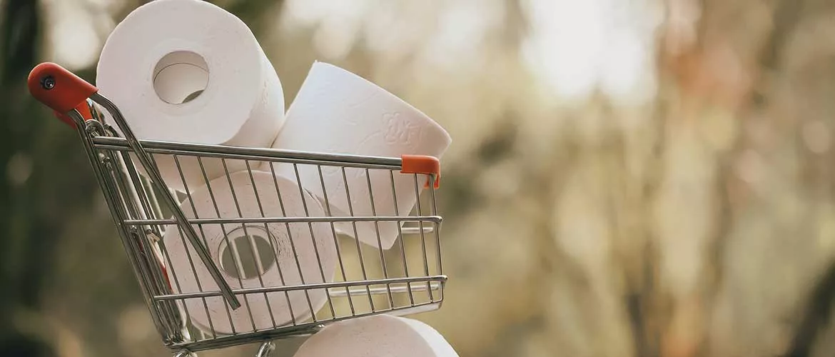 tiny shopping cart full of toilet paper rolls