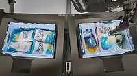 Web_Image-Berkshire Grey Robot Station Picking Grocery Items from an ASRS.jpg