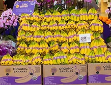 Wild_Harvest_Bananas.jpg