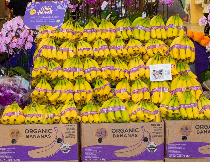 Wild_Harvest_Bananas.jpg