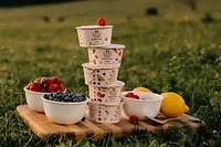Painterland Sisters Skyr.jpg