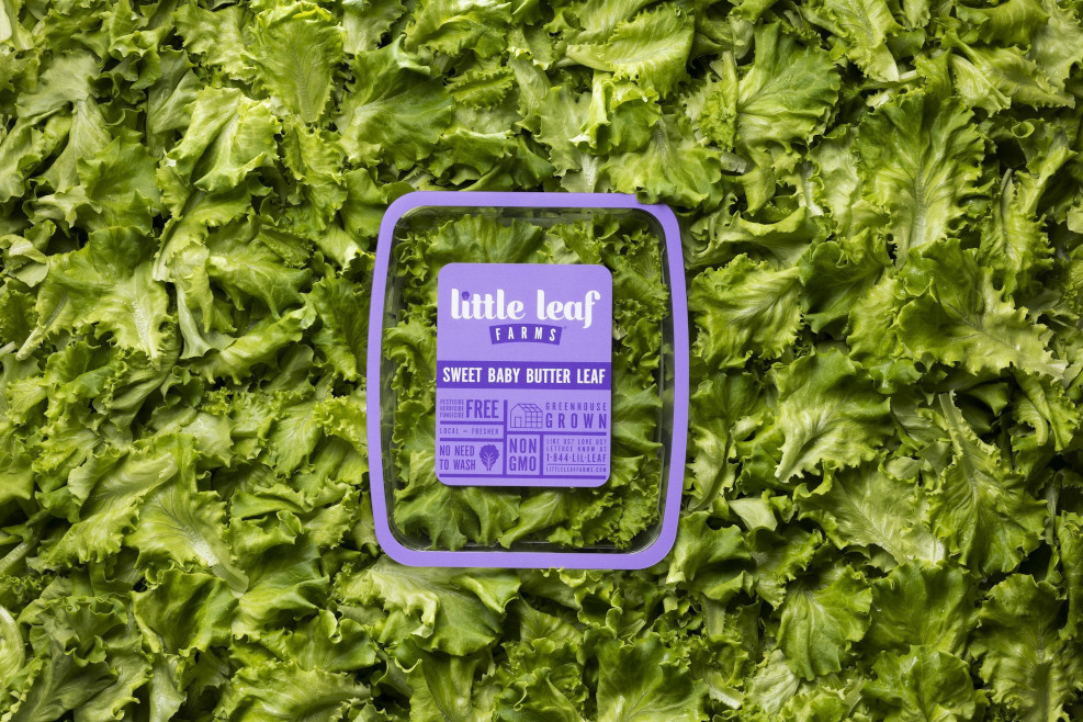 Little_Leaf_Farms_Butter_Leaf_Lettuce.jpg