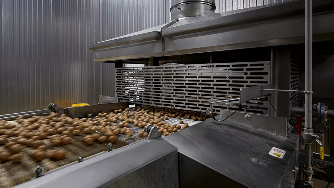 Rosina Foods - meatballs.jpg
