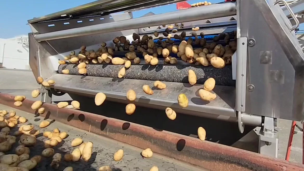 vanmark_vine_remover_v5.mp4 (1080p) 11.jpg