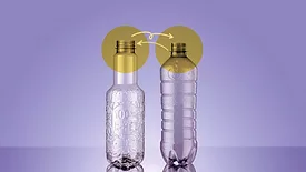 Different necksKHS.jpg