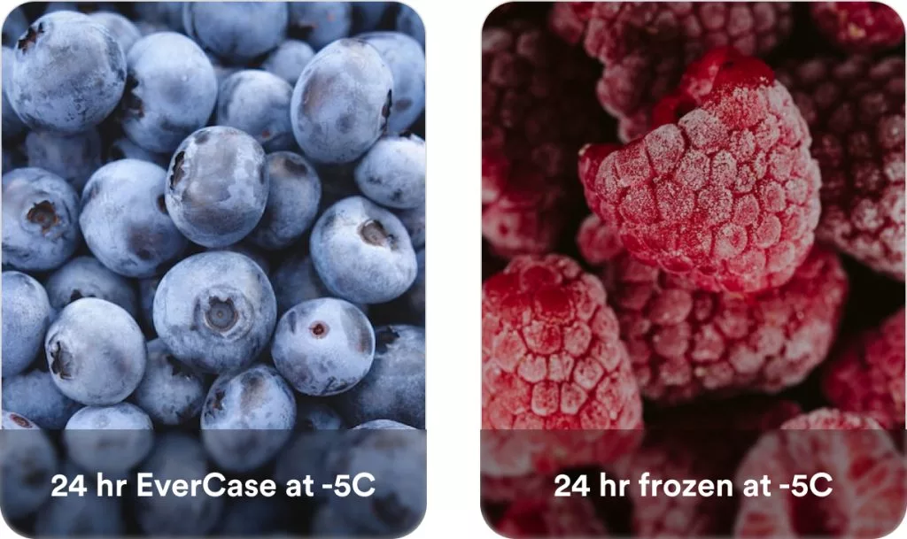 EvercaseBerries.jpg