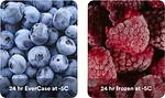 EvercaseBerries.jpg