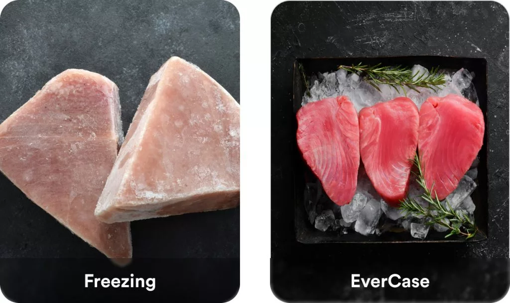 EvercaseSalmon.jpg