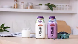 Straus_Family_Creamery_Organic_Lowfat_Plain_and_Blueberry_Kefirs_4608_RT.jpg
