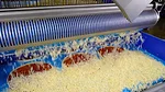 Grote’s Waterfall Topping Applicator met the challenge perfectly. The applicator provides accurate cheese and IQF topping distribution and weights with less than 1% floor waste. 