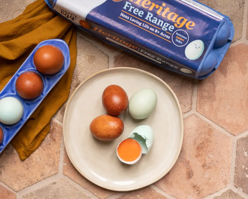 Happy Egg 