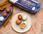 Happy Egg 