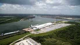 NOLA Lineage.jpg
