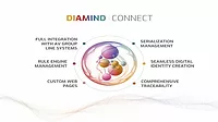 DIAMIND Connect 1.jpg