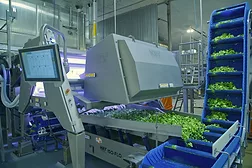 Key-La-Huerta.jpg