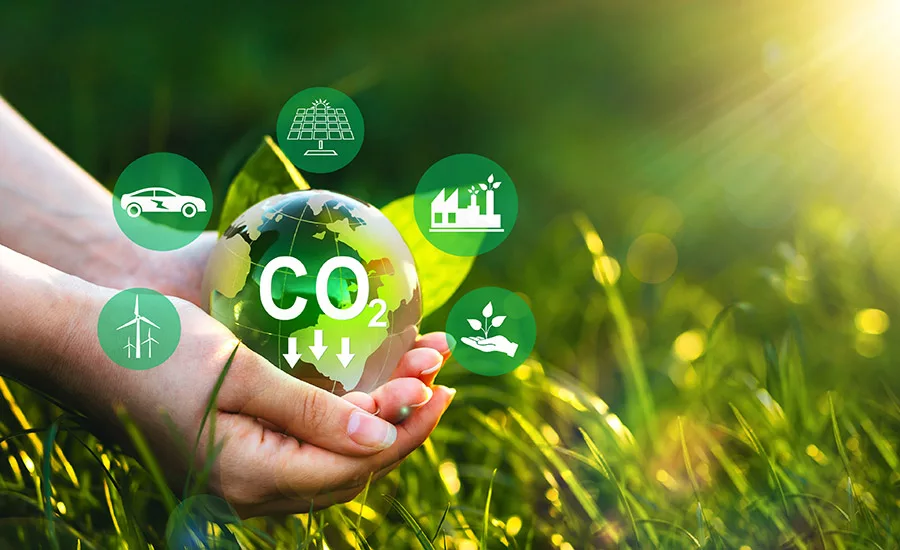 Eco-Friendly