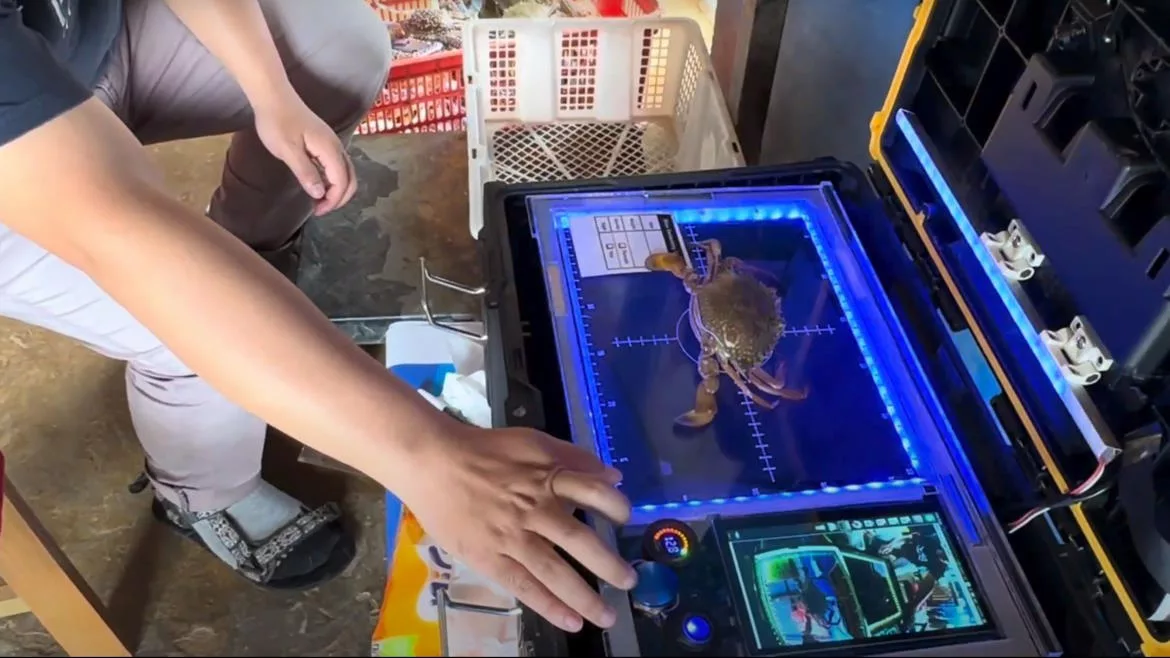 CS-user2-3 Crab processing.jpg