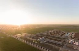 Dairy farmers of California.