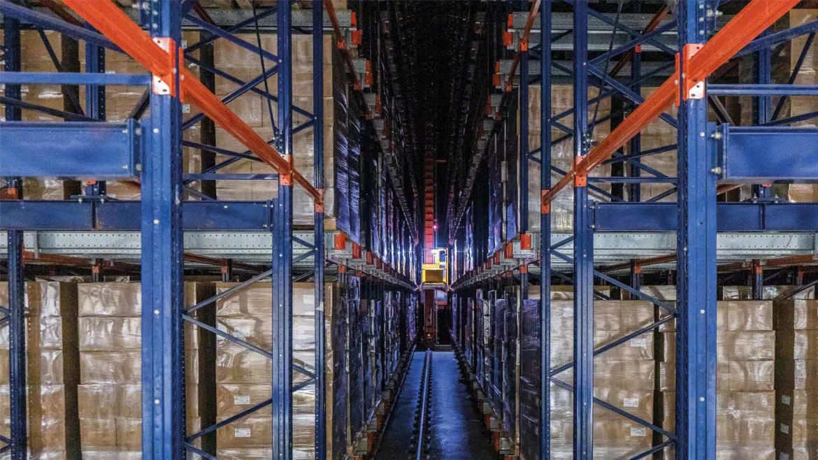 Bem Brasil automates frozen French fry storage.