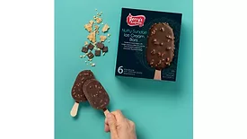 Perry's Ice Cream Nutty Sundae Ice Cream Bars