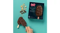 Perry's Ice Cream Nutty Sundae Ice Cream Bars