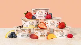 Painterland Sisters Skyr
