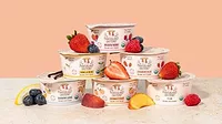 Painterland Sisters Skyr