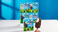 ben and jerrys bars.jpg ice cream bars