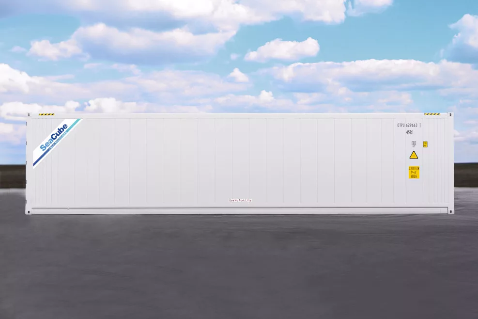 portable cold storage 