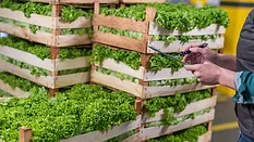 Fresh produce Fresh produce