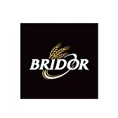 BRIDOR LOGO