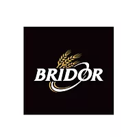 BRIDOR LOGO