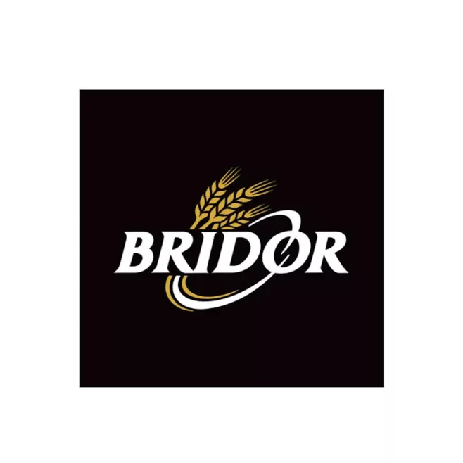 BRIDOR LOGO
