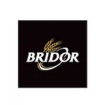 BRIDOR LOGO