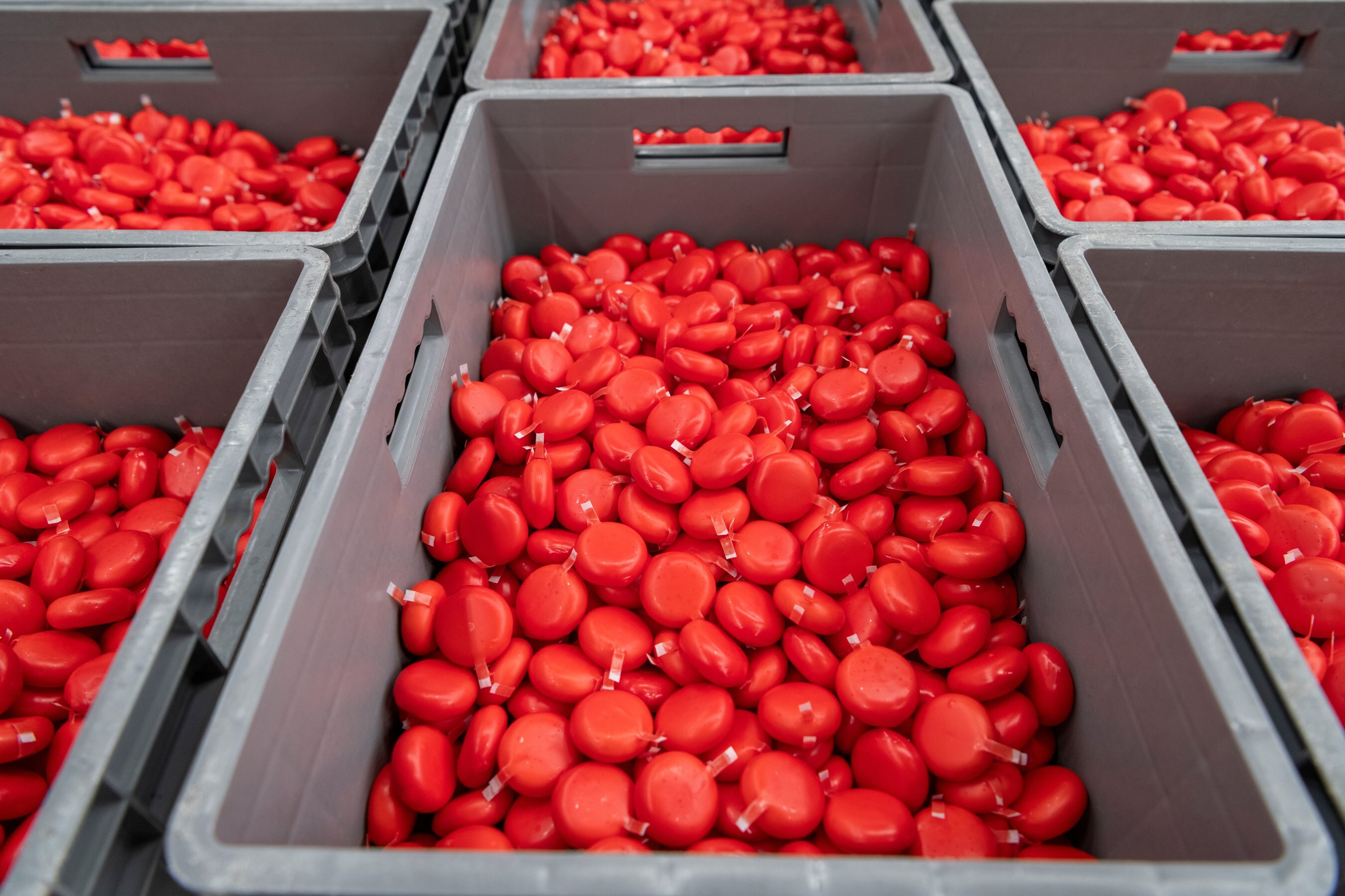 Babybel cheese at the production facility. 