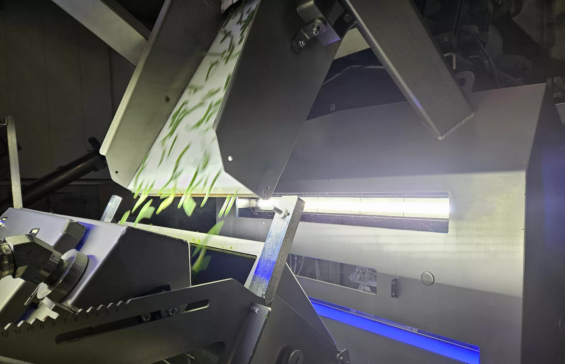 COMPASS for IQF