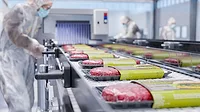 Packaging Line Evergreen Packaging line