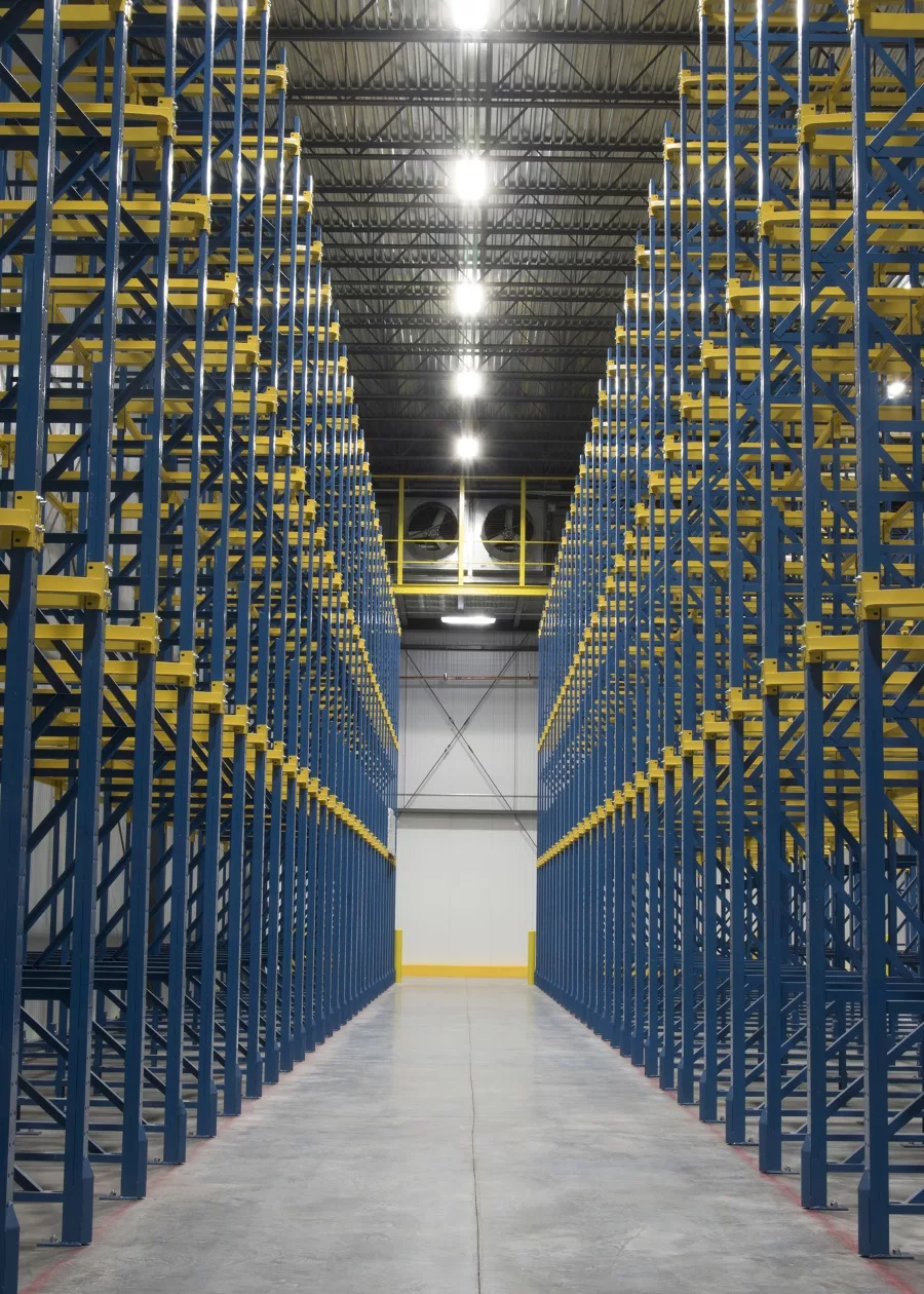 Manfredi Cold Storage Steel King rack system