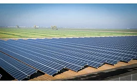 Joseph Gallo Farms net zero