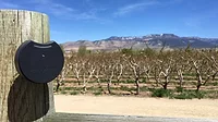 Smart Yields Sensohive