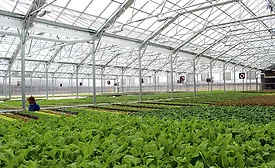 BrightFarms Greenhouse