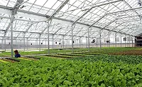 BrightFarms Greenhouse