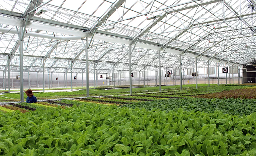 BrightFarms Greenhouse